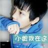 宠物美容知识内容总结